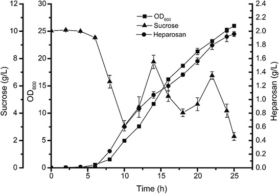 Heparosan Production Graph