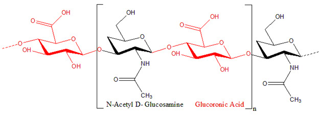 Hyaluronic Acid Molecular Structure