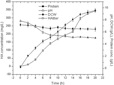 Dynamic Profiles of HA