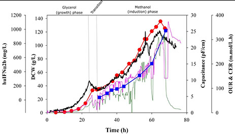 Dynamic Profile for Dielectric Spectroscopy