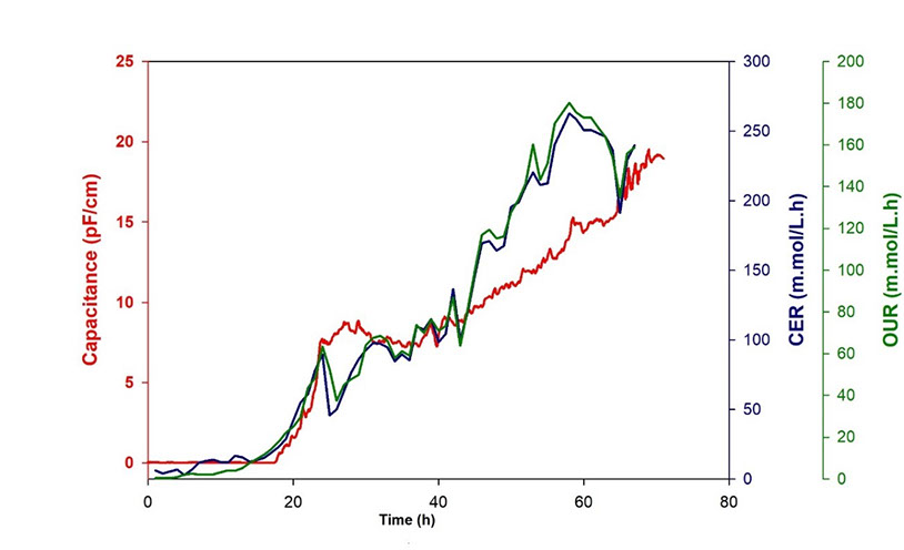 Exhaust Gas Analyzer Results