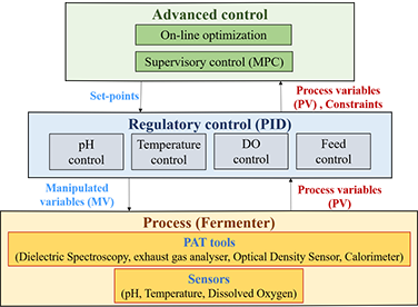 Advanced Process Control Strategies