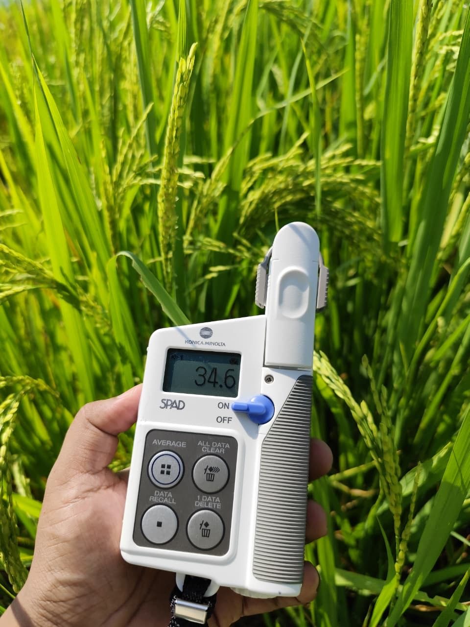 Outreach field photograph